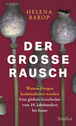 Buchcover "Der grosse Rausch" von Helena Barop